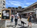 2026 06 14lauquintal annonay02 c rachelpaty