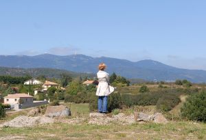 2010  