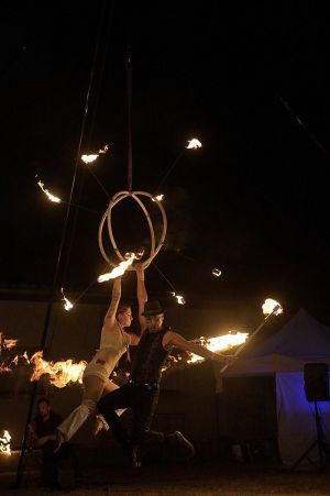 blisscircus  
