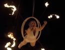 blisscircus  