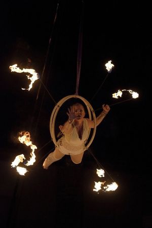 blisscircus  