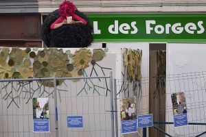 bioffique theatre  