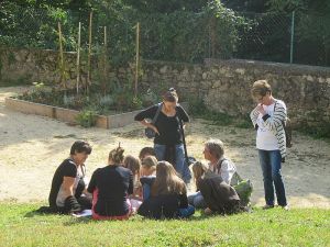 bioffique theatre  