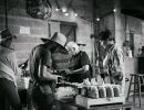 agri culturelle  