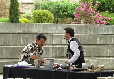 Cie La Volubile