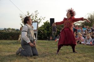 cirque hirsute  