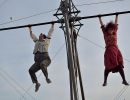cirque hirsute  