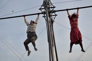 cirque hirsute  