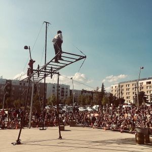 cirque hirsute  