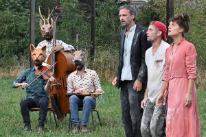 les animaux de la compagnie  
