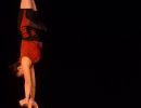 nuit du cirque  