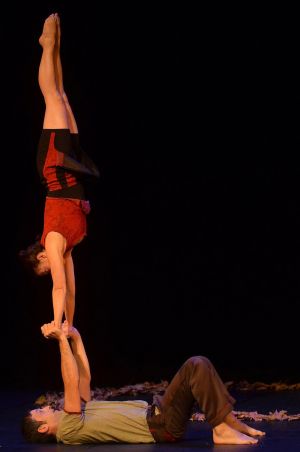 nuit du cirque  