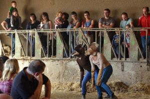 le cri de la fourmi  