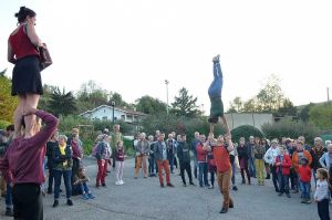 agri culturelles st desirat  
