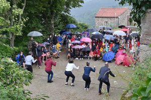 collectif jamais trop dart  