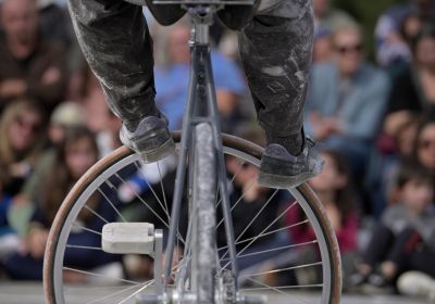 Faudrait Pas Rester Plantés Là 