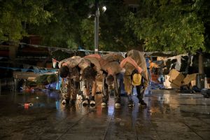 20250927 tf25 intrepidus annonay c renaudvezin